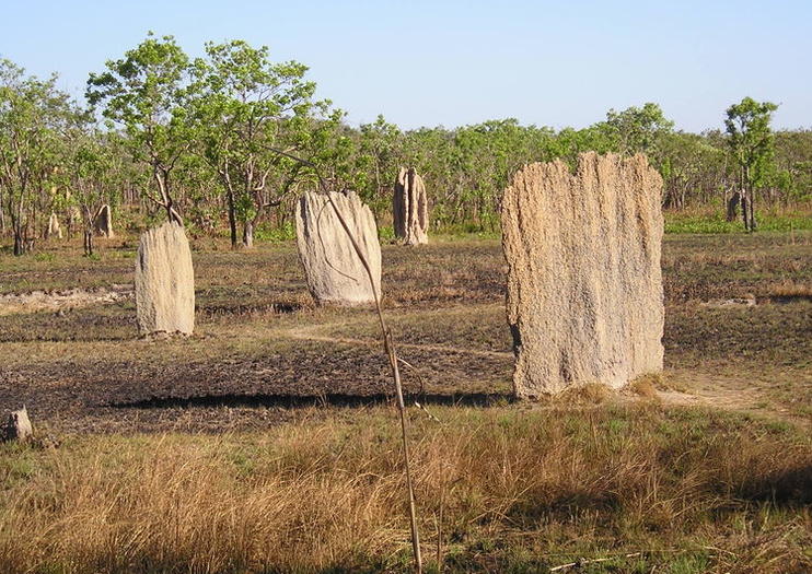 Litchfield National Park